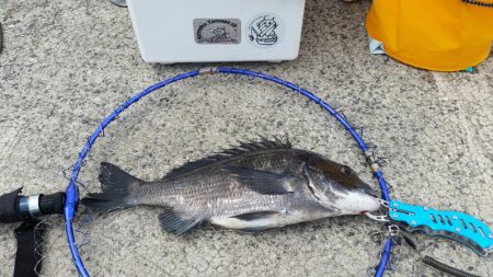 紀州釣りに挑戦！！